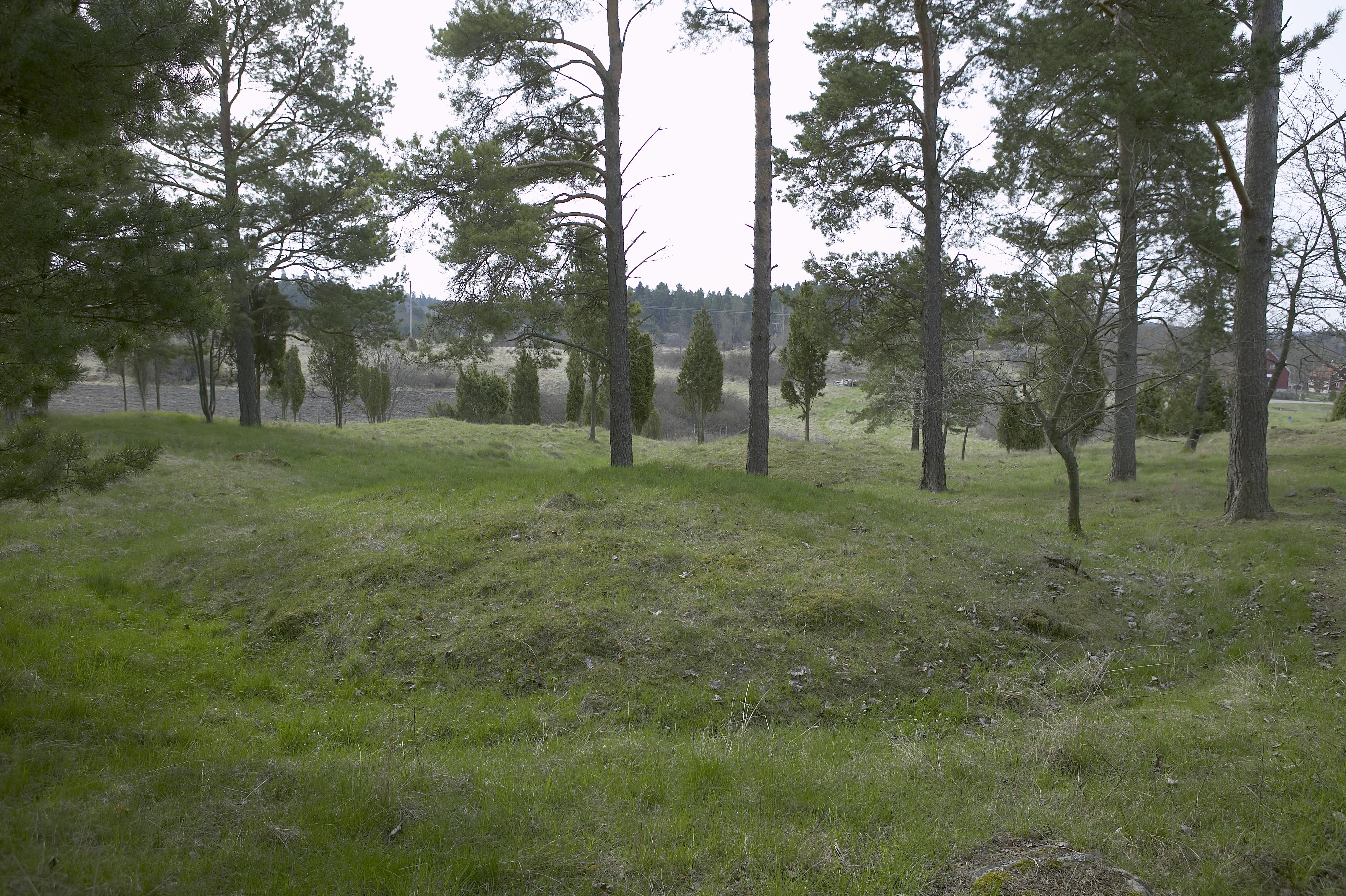 Bengt A Lundberg, Berga järnåldersgrav