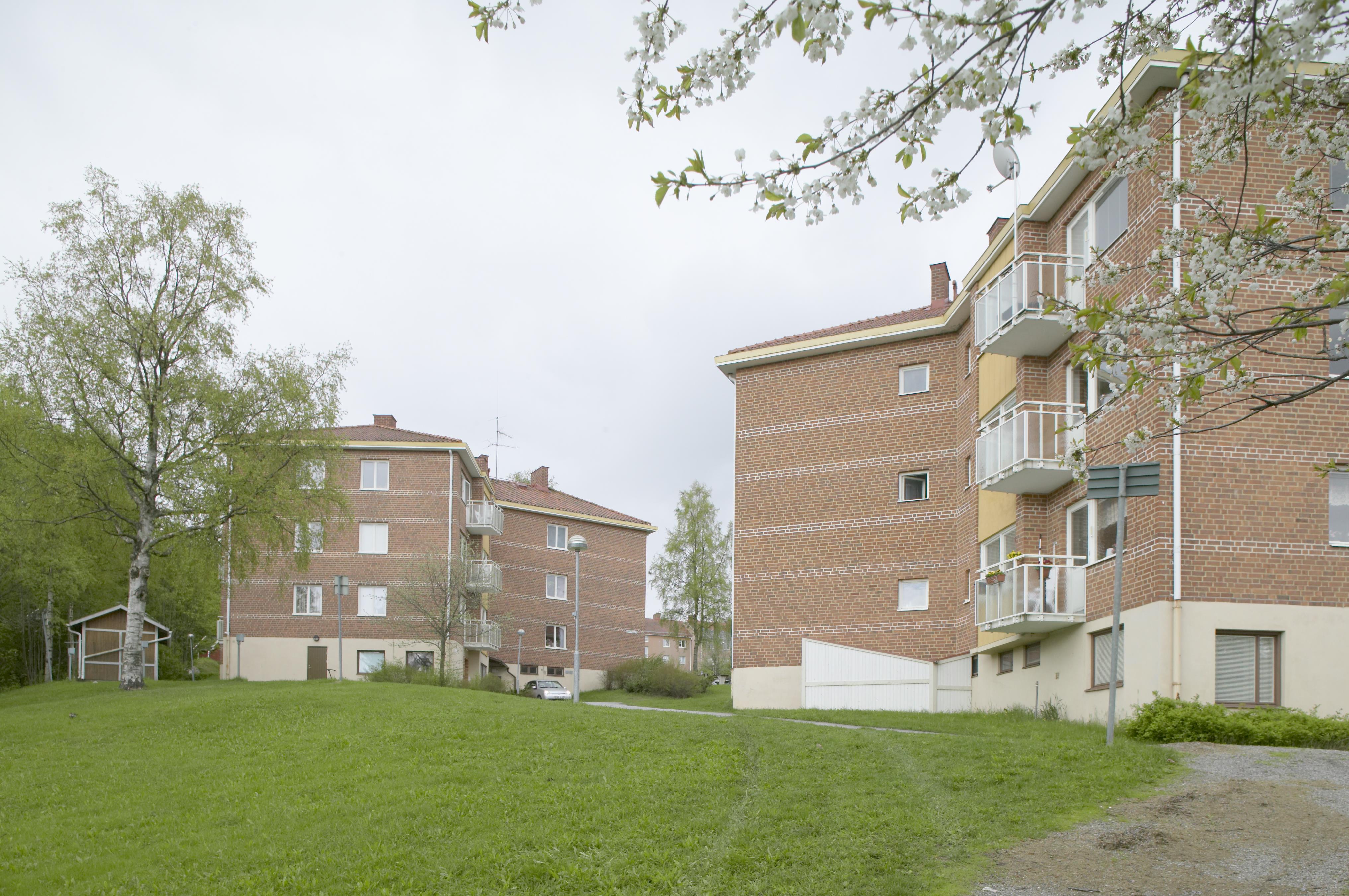Bengt A Lundberg, Gullänget