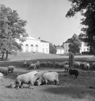Drottningholm