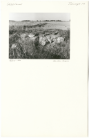 Skinna. U Fv1973;146  .