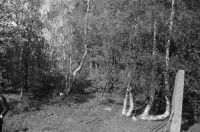 Kramfors, Gudmundrå kyrkoruin