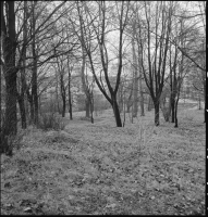 Stockholm, Johanneshovs kolerakyrkogård