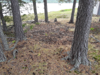 Skålan nedgrävning