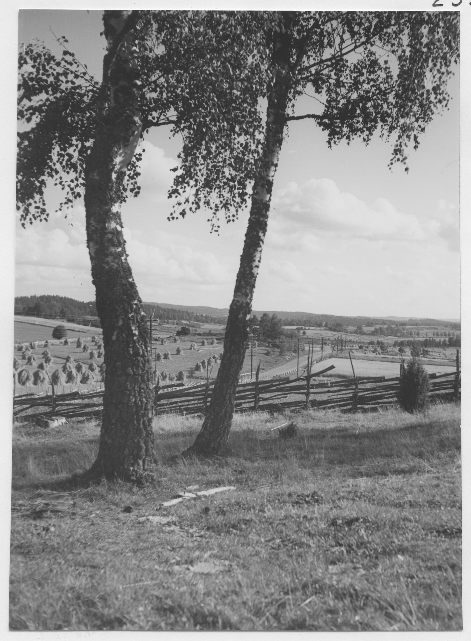 Mårten Sjöbeck, Reaby, åkrar med hässjor