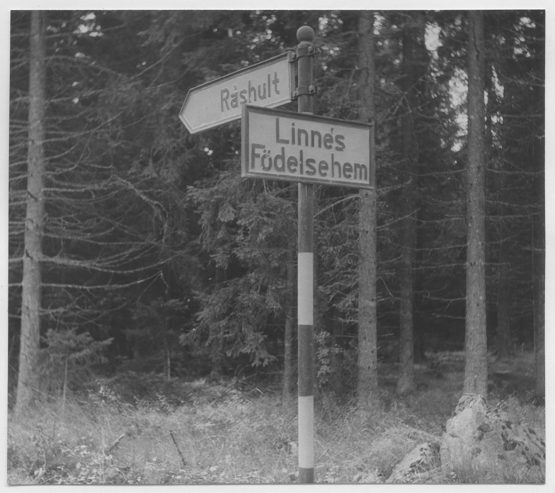 Mårten Sjöbeck, Råshult, Carl von Linnés födelseort