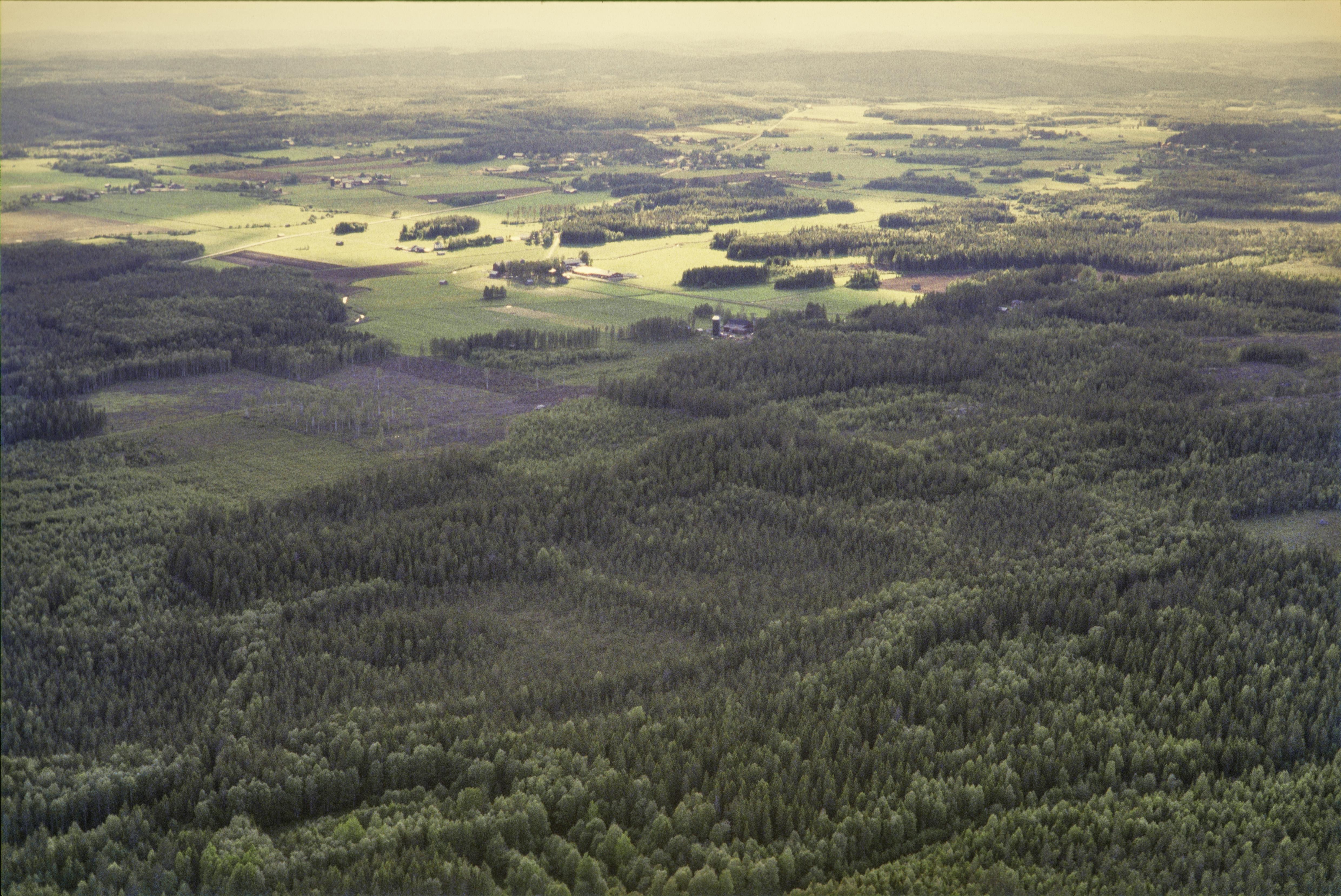 Jan Norrman, Nysätra 74:1