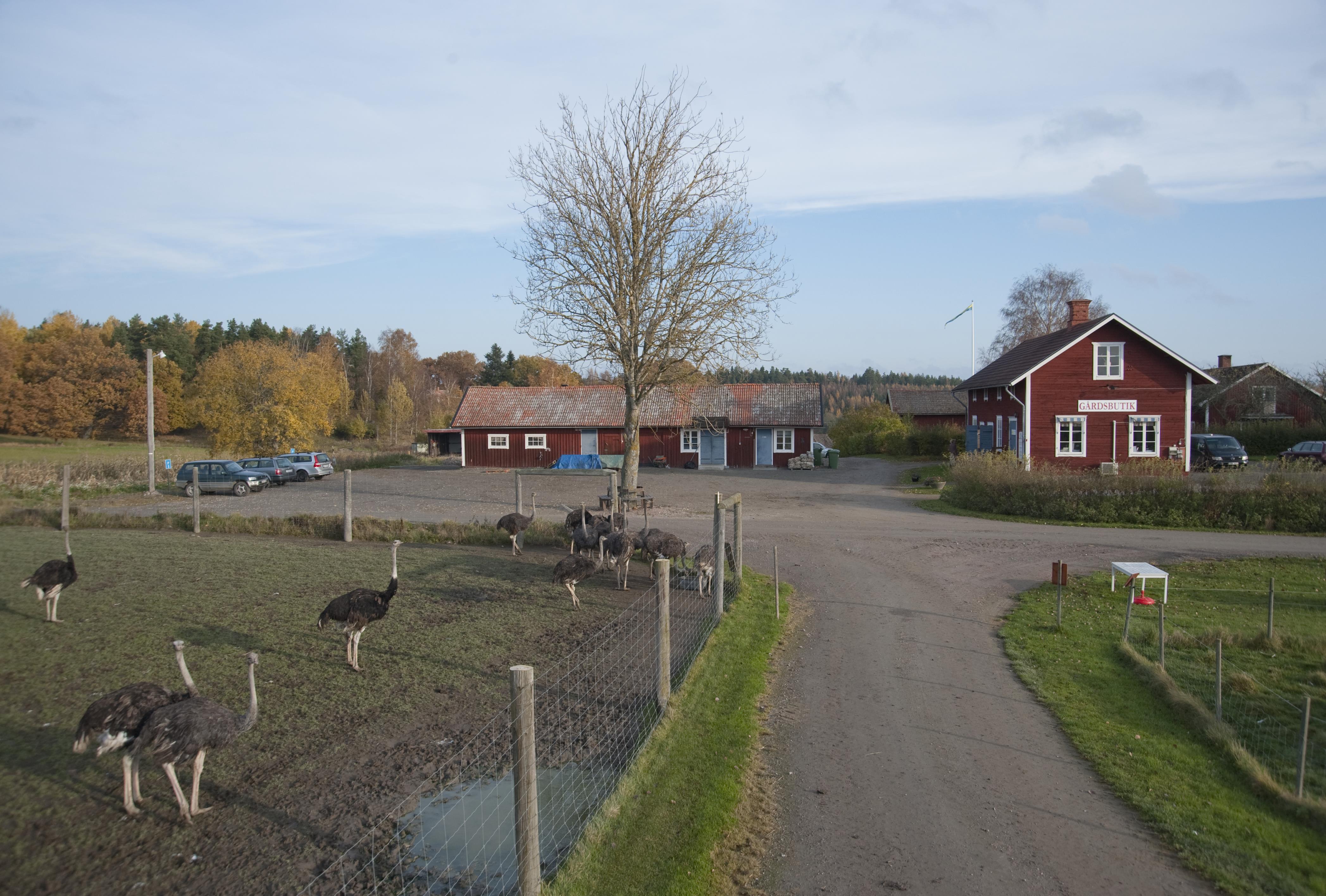 Bengt A Lundberg, Jönåker
