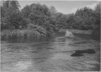 Holjeån vid gränsen till Jämshög