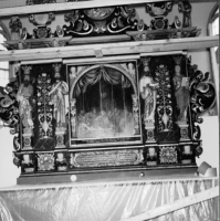 Image of Bo NIYR5;221A