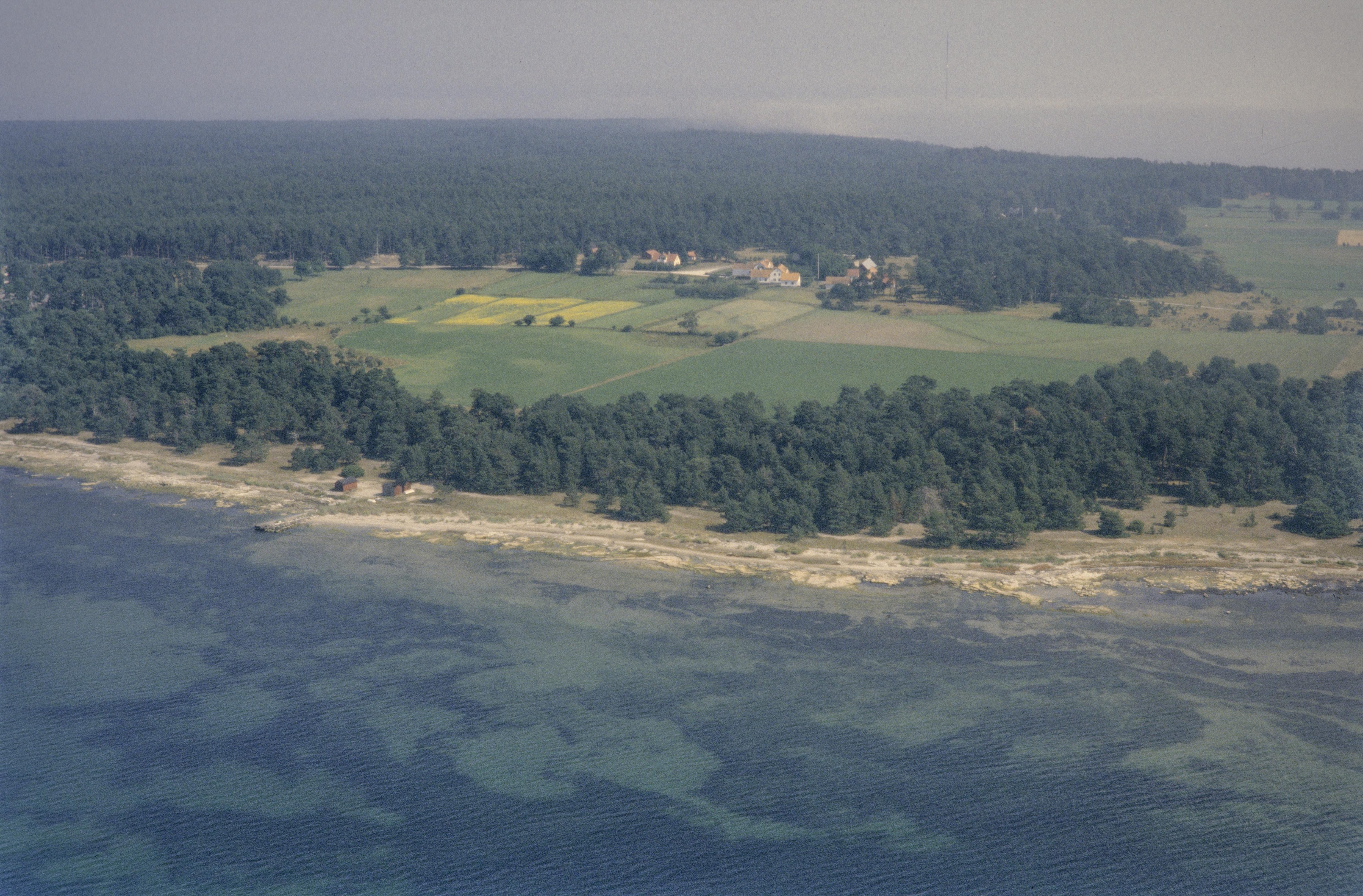 Jan Norrman, Fårö 363:1