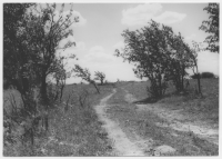 Stig längs Torbjörntorpsfalens stenbrott