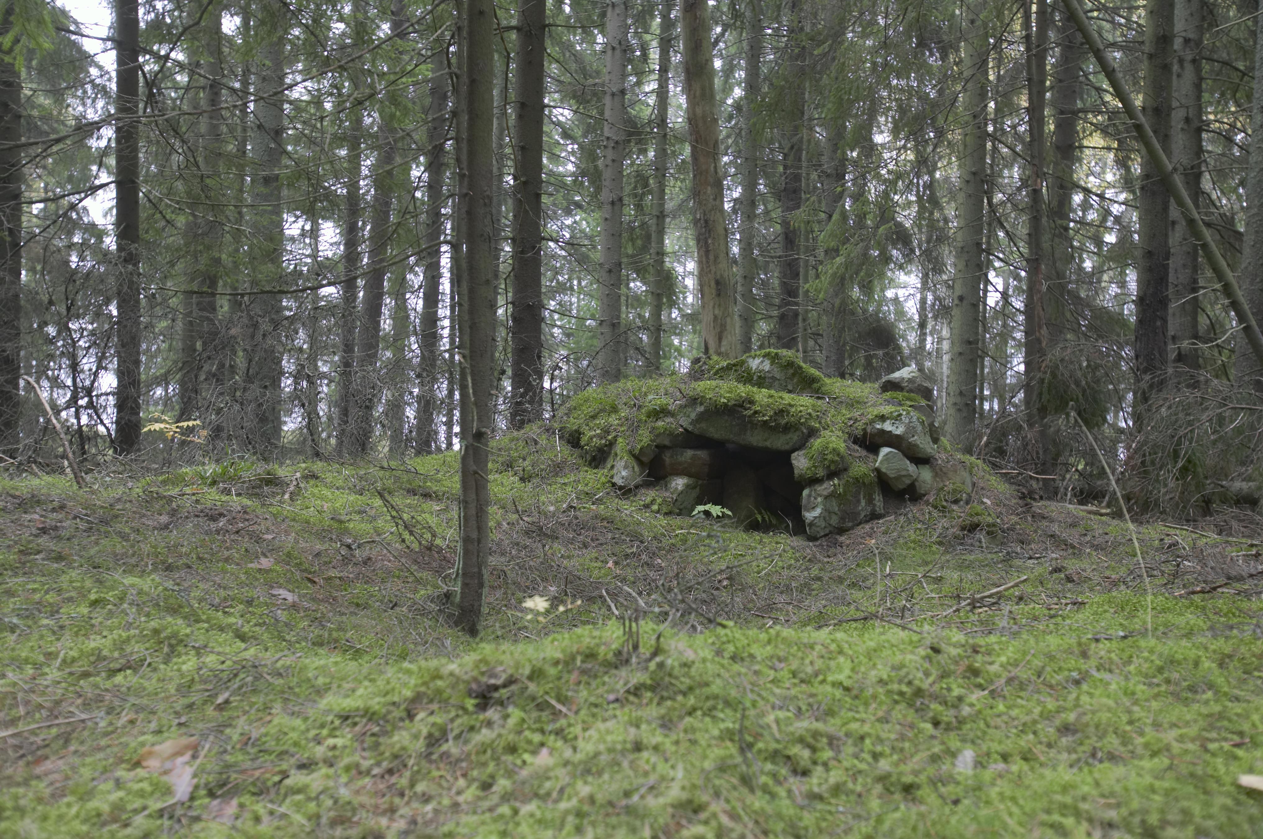 Bengt A Lundberg, Fagraholms fly