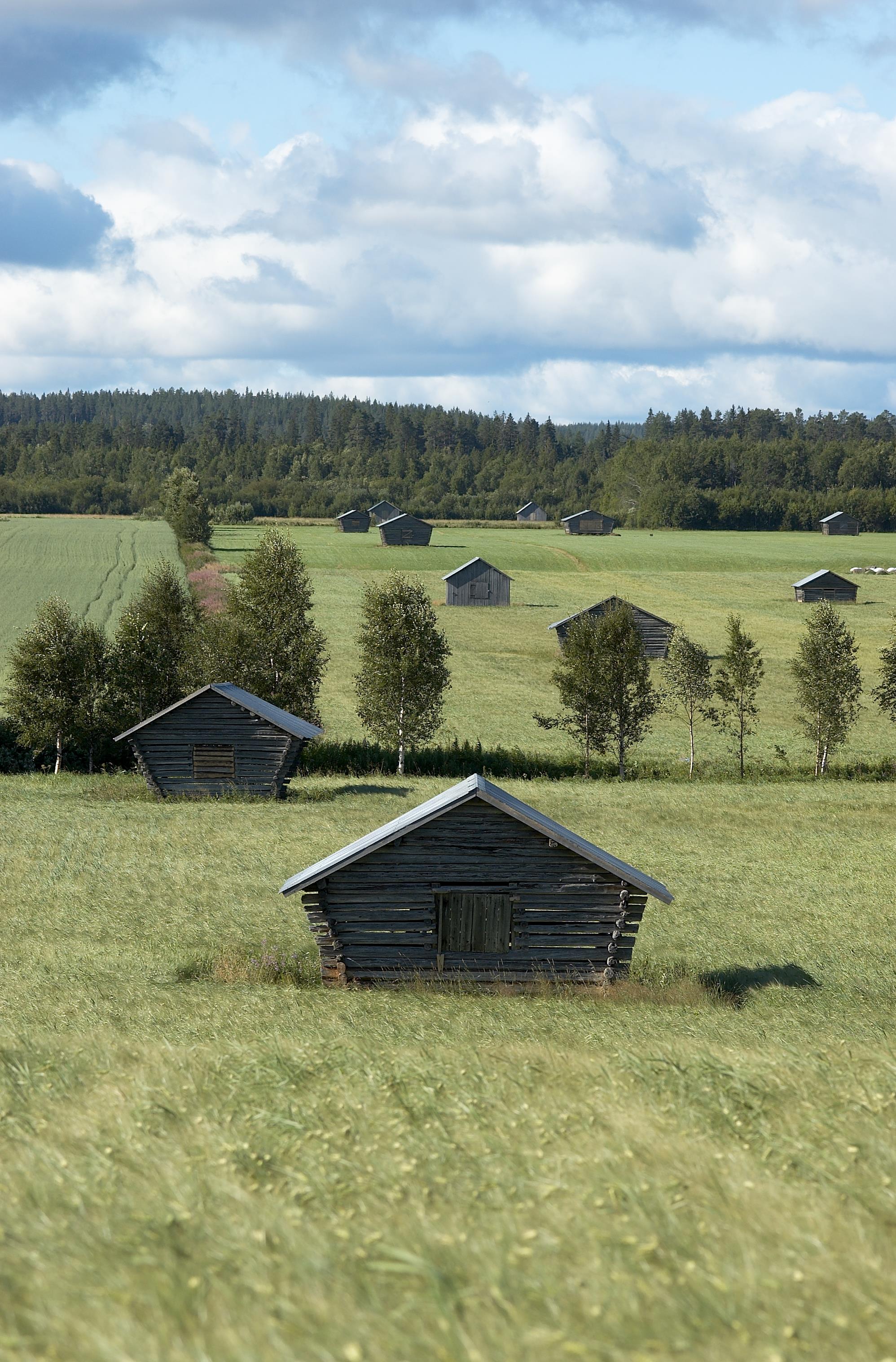 Bengt A Lundberg, Avan