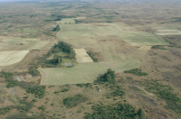 Södra Möckleby 1:1