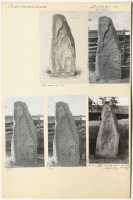 Nibble. Runsignum Sö 8