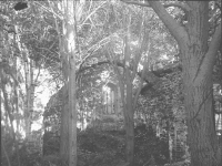 Västra Eds kyrkoruin