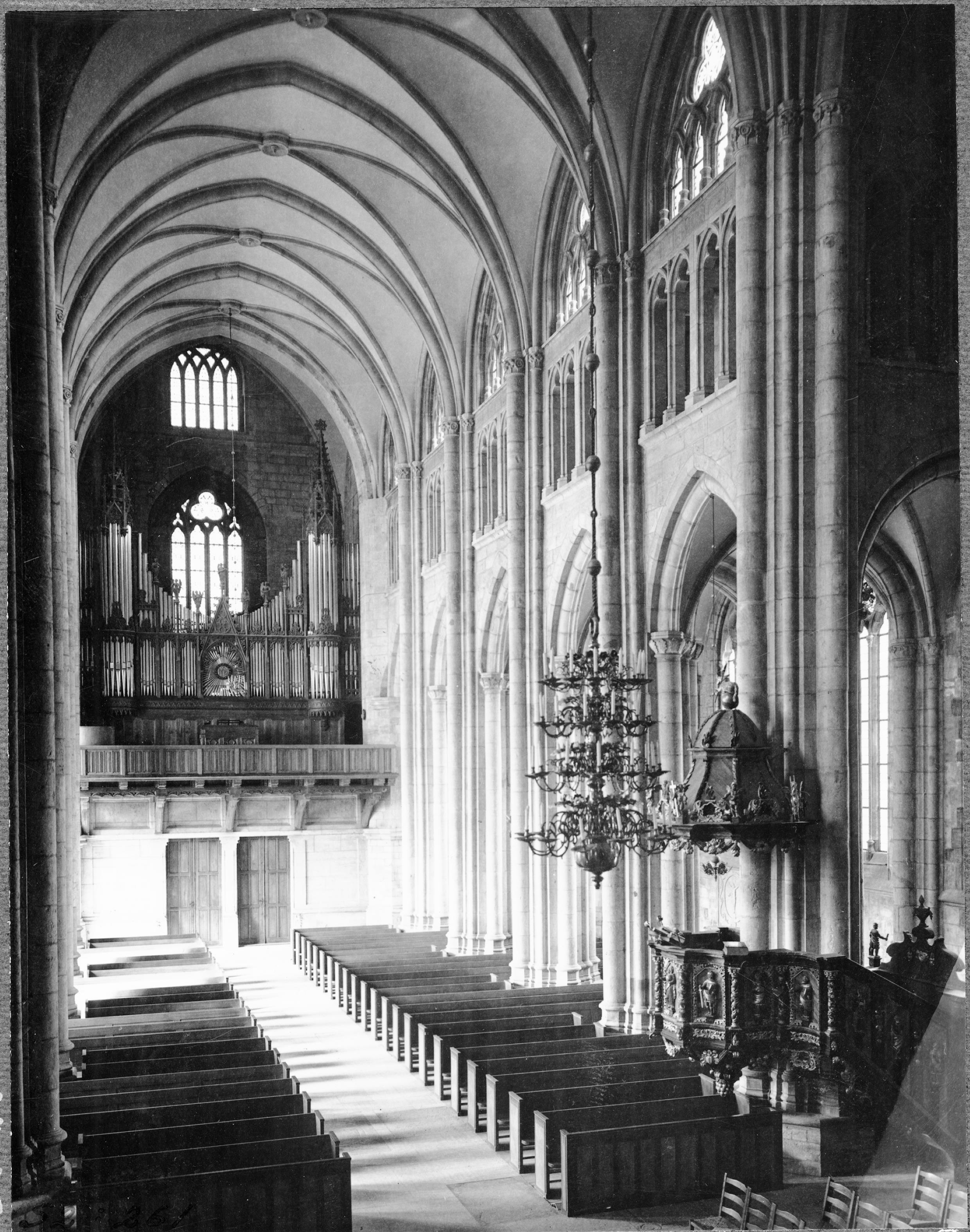 Harald Widéen, Skara domkyrka (Sankta Maria kyrka)