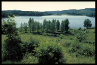 Bräcketjärn