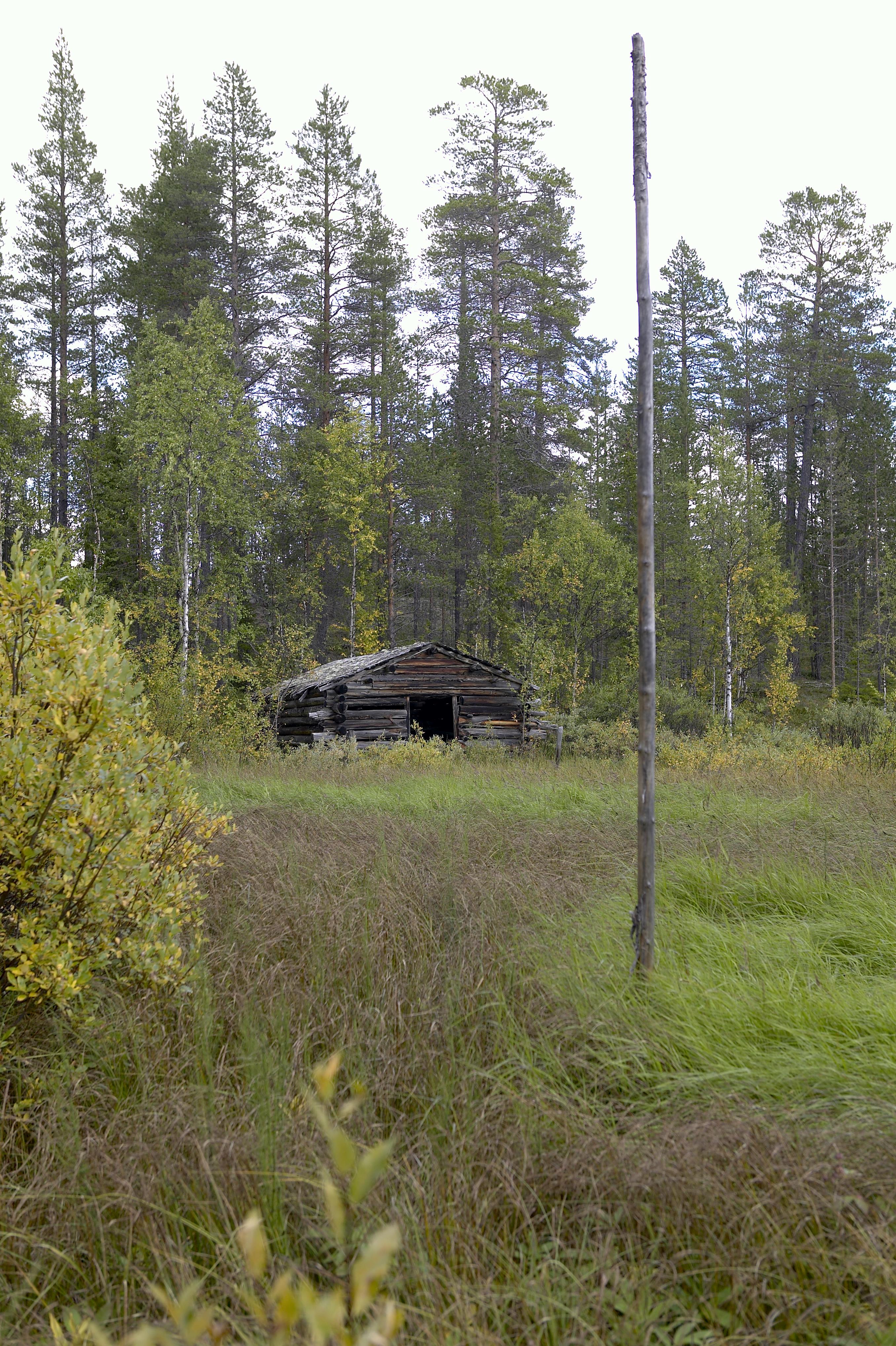 Bengt A Lundberg, Kaltisbäcken