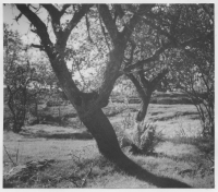 Borekulle, ödelagt torpställe