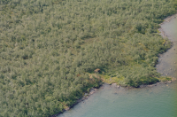 Rautasjaure - Várregaska