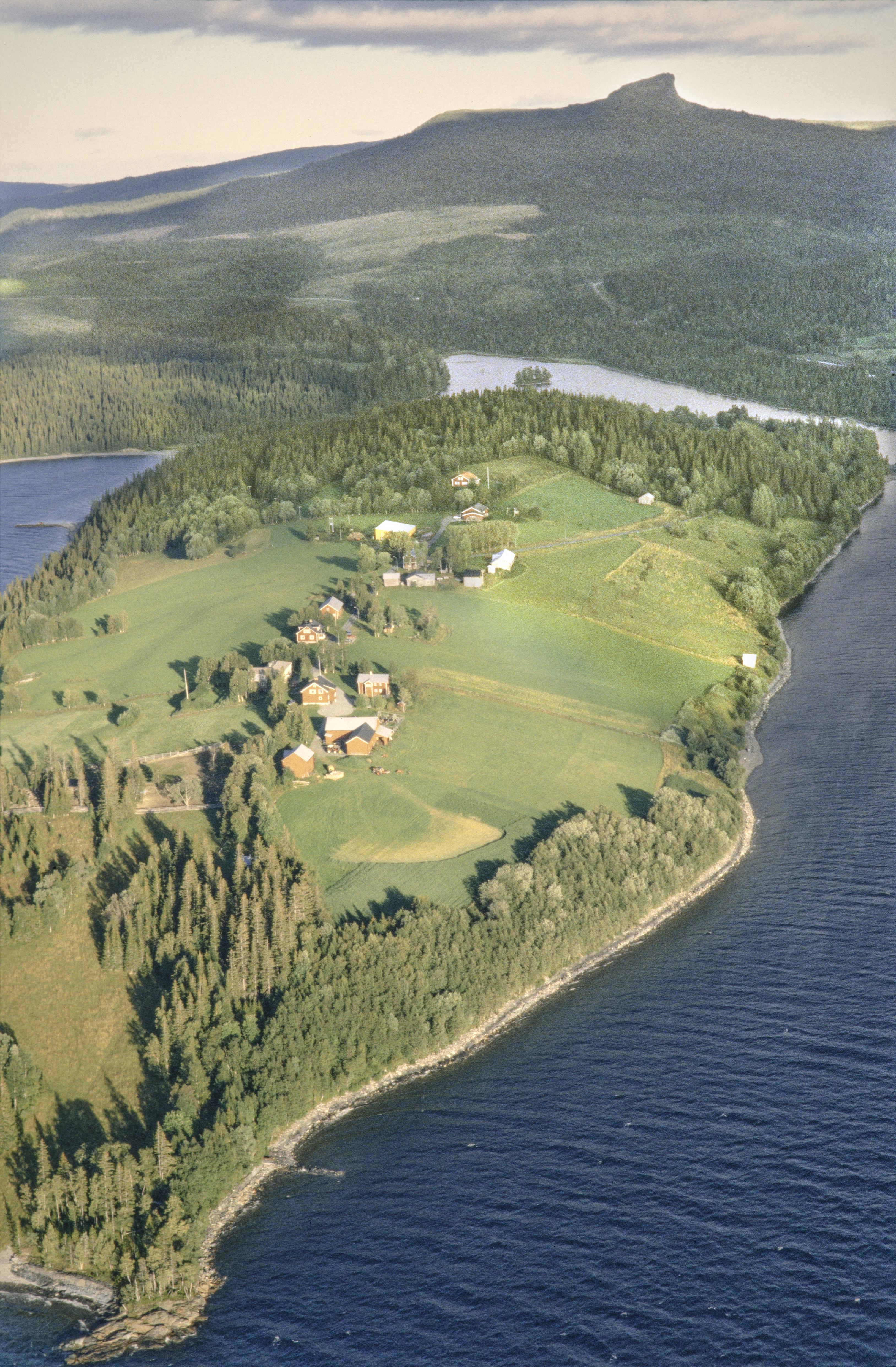 Jan Norrman, Kall 220:1