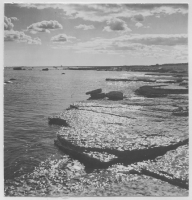 Havsstranden vid Sandby borg