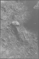 Vadstena Klosterkyrka