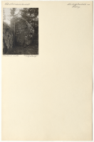 Bälby. Runsignum: Vs SRI13;11