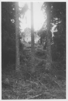 Brahälla, sett från skogen i sydväst