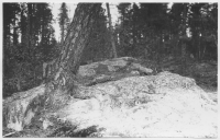 Terrängen omkring Lilla Luleälv (i närheten av järnvägen)