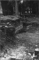 Sigtuna Dominikanerkloster