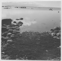 Grundården storbonde