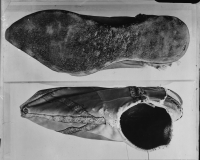 Strängnäs Domkyrka