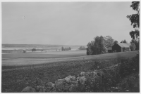 Tysslinge socken, skog