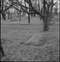 Stockholm, Johanneshovs kolerakyrkogård