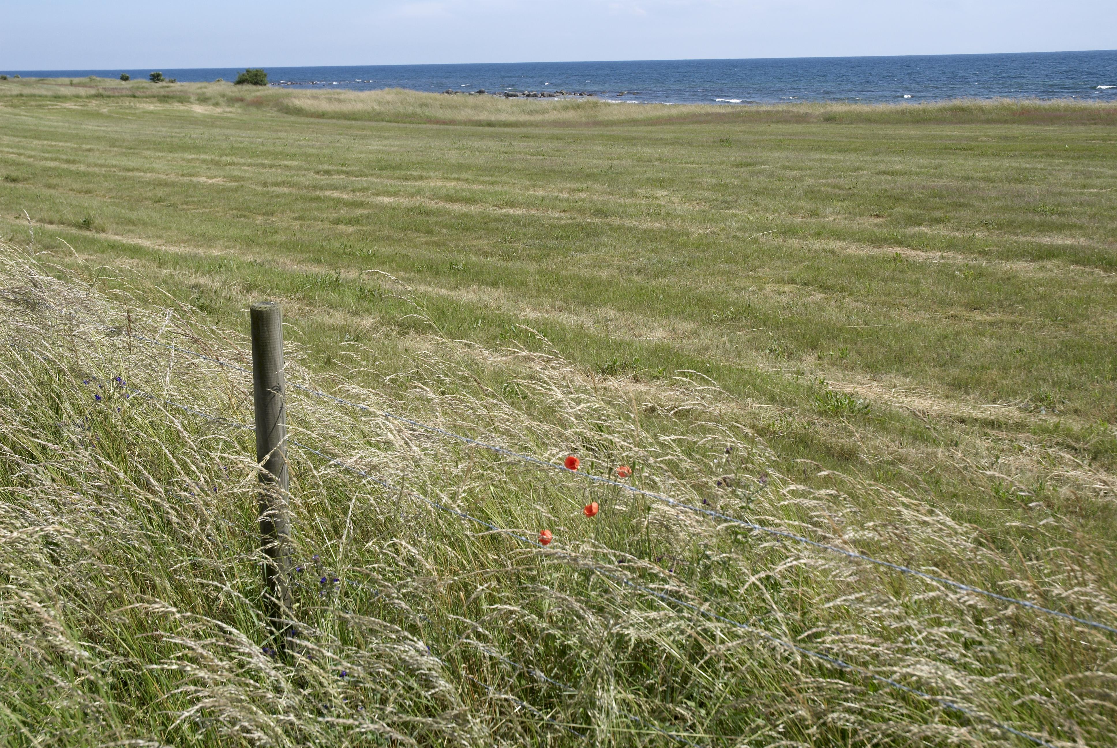 Bengt A Lundberg, Högastens strandmarker