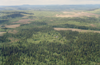 Bjurträsk - Vallsmyran