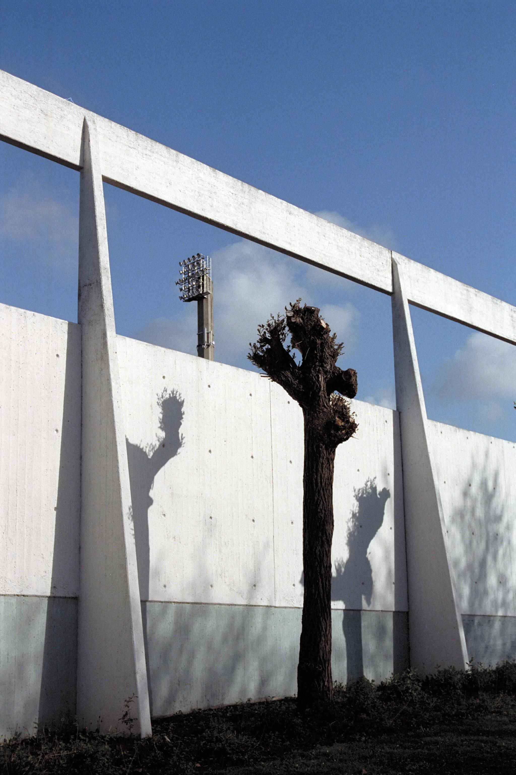 Bengt A Lundberg, Malmö Stadion