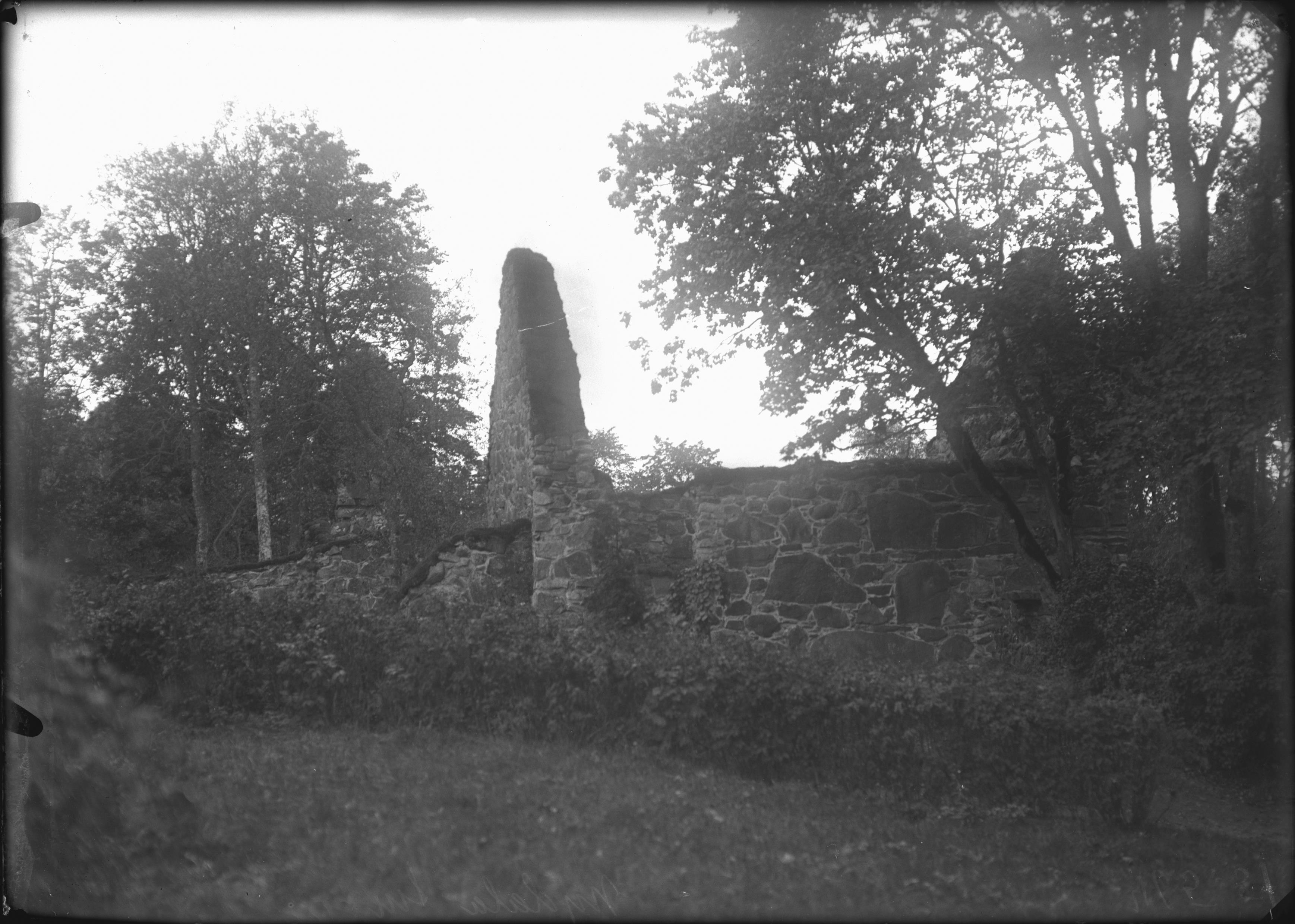 Sven Brandel, Nydala klosterruin