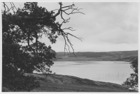 Gullmarsfjorden vid Gullmarsberg