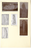 Prästgården. U 462.