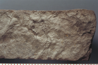 Image of Sm NOR2001;25