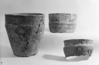 Alvastra pålbyggnad