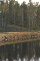 Smalspåret Hultsfred-Västervik