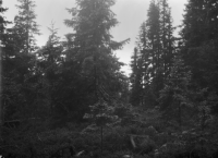 Grundsunda, Kyrkvikens kyrkplats