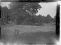 Gårdveda ödekyrkogård