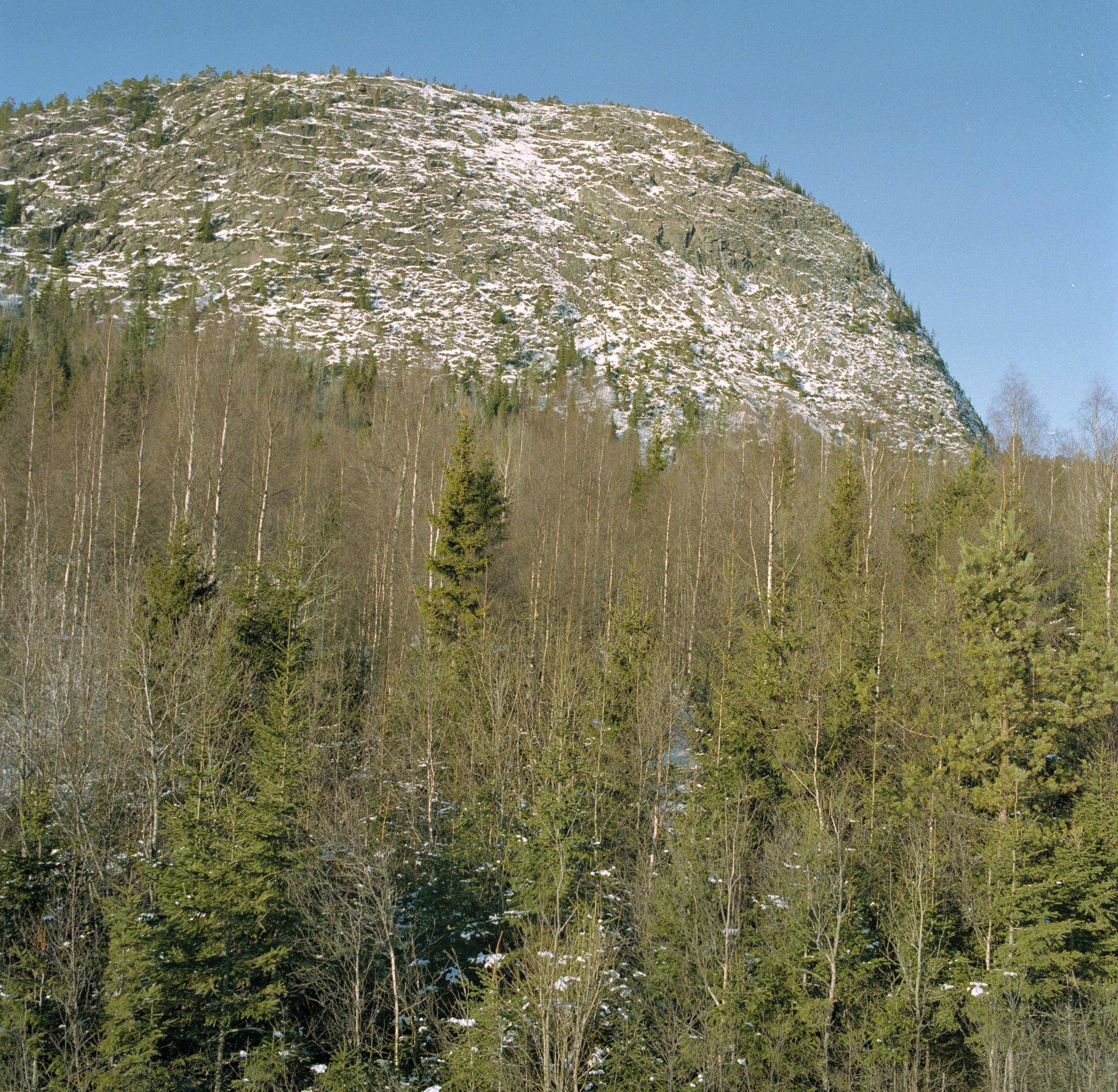 Bengt A Lundberg, Skuleberget