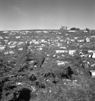 Borgholms slottsruin