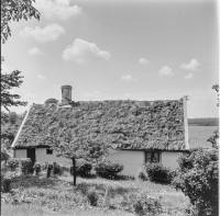 Silvåkra 4, gård 71